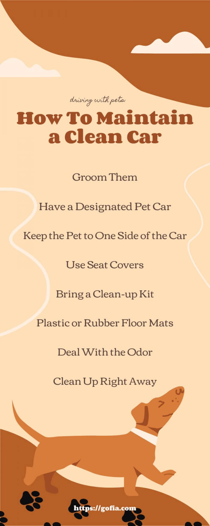 Driving With Pets: How To Maintain a Clean Car
