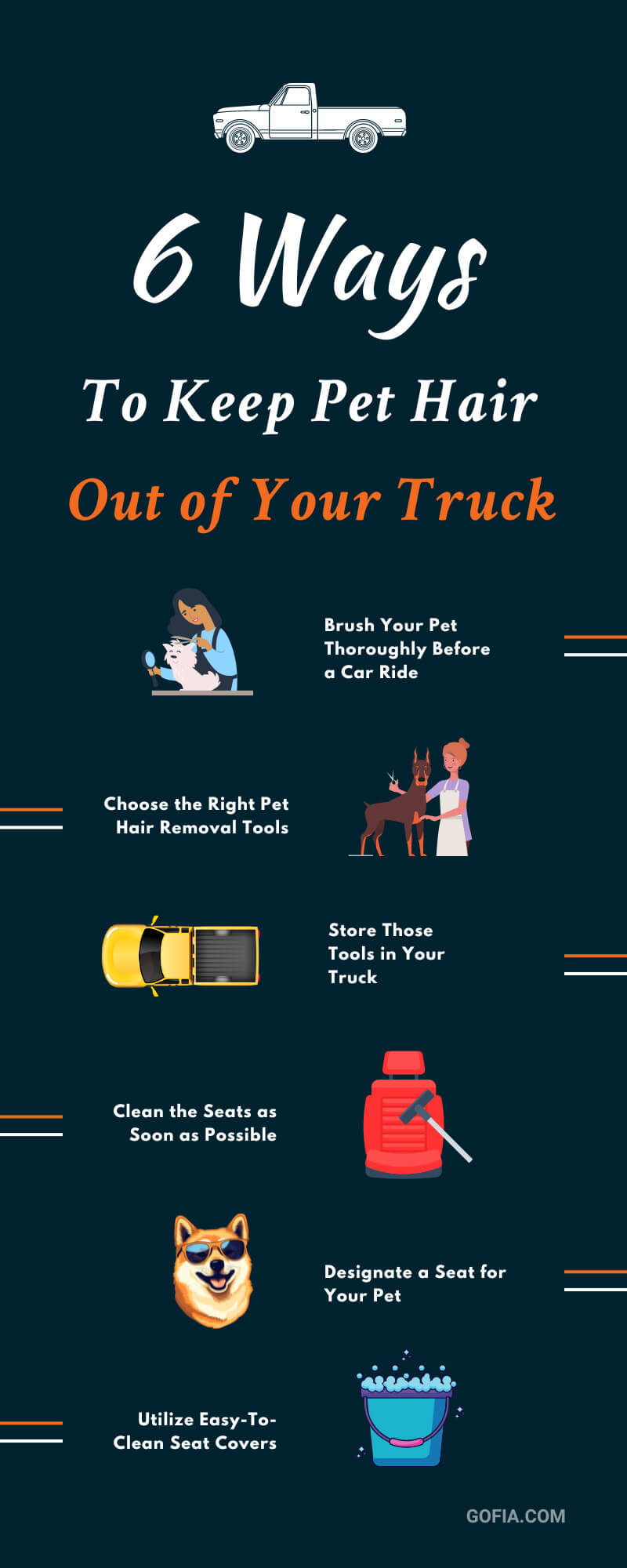 6 Ways To Keep Pet Hair Out of Your Truck