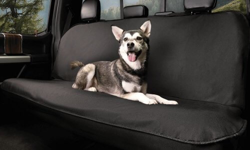 Reasons To Use Pet Seat Covers When Traveling With Your Pet